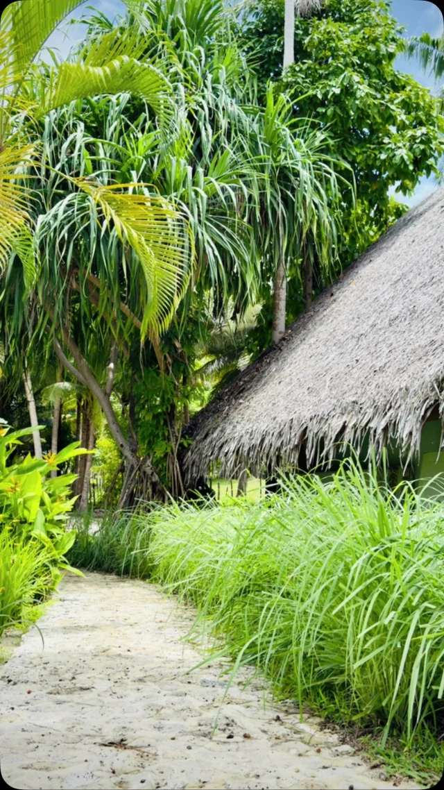 Step into a world where simplicity is luxury and every moment is extraordinary.  Whether you’re here to unwind in tranquil seclusion, embark on thrilling ocean adventures, or celebrate life’s special moments, Ratua’s world is yours to explore.